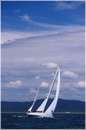 sailweek99_0064.jpg