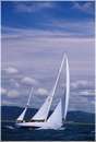 sailweek99_0065.jpg