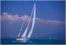 sailweek99_0066.jpg