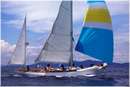 sailweek99_0071.jpg