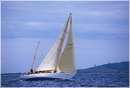 sailweek99_0072.jpg