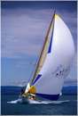 sailweek99_0075.jpg