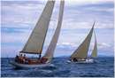 sailweek99_0082.jpg