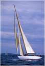 sailweek99_0084.jpg
