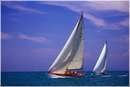 sailweek99_0085.jpg