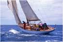 sailweek99_0090.jpg