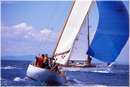 sailweek99_0091.jpg