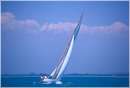 sailweek99_0093.jpg