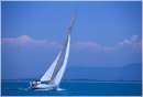 sailweek99_0094.jpg