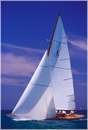 sailweek99_0095.jpg
