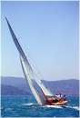 sailweek99_0096.jpg