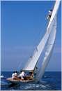 sailweek99_0097.jpg