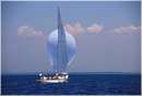 sailweek99_0100.jpg