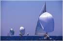 sailweek99_0101.jpg