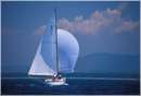 sailweek99_0102.jpg