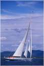 sailweek99_0103.jpg