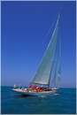 sailweek99_0105.jpg