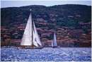 sailweek99_0108.jpg