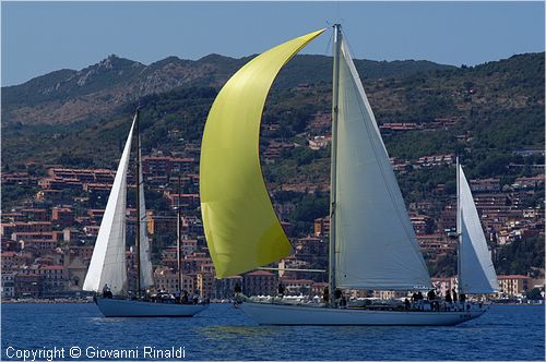 DSC_1572.jpg