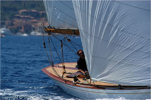 DSC_1646.jpg