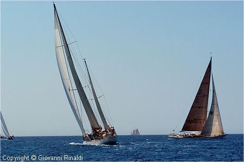 DSC_1842.jpg