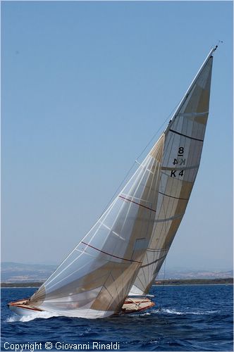 DSC_1865.jpg