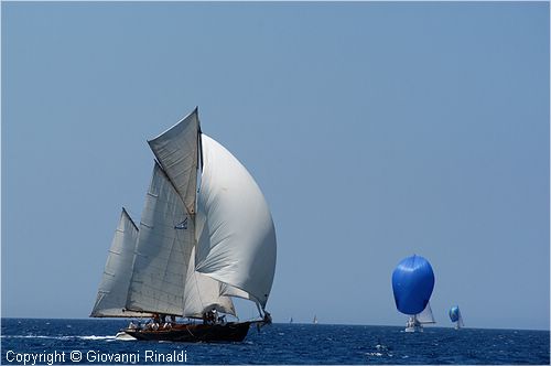 DSC_1893.jpg