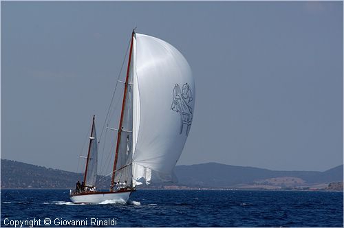 DSC_1907.jpg