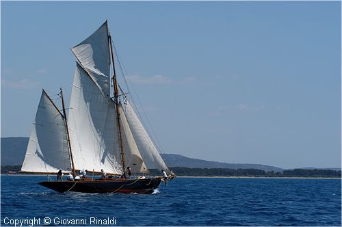 DSC_1917.jpg
