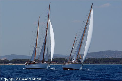 DSC_1949.jpg