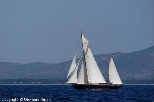 DSC_2004.jpg