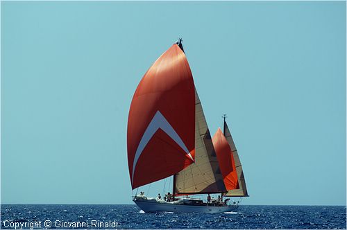 DSC_2016.jpg
