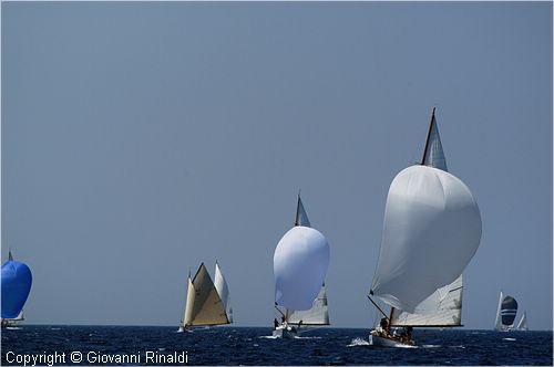 DSC_2019.jpg