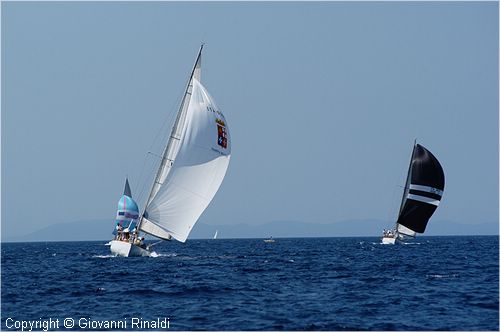 DSC_2043.jpg