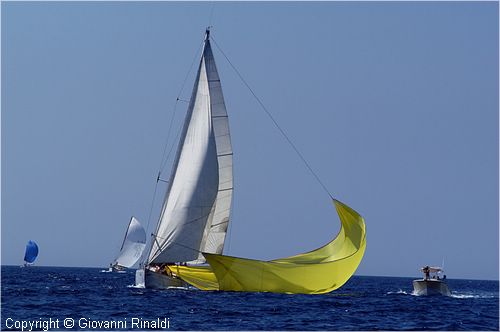 DSC_2095.jpg