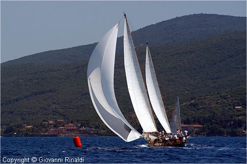 DSC_2115x.jpg