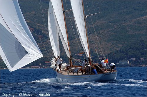 DSC_2195.jpg