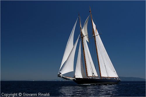 DSC_2231.jpg