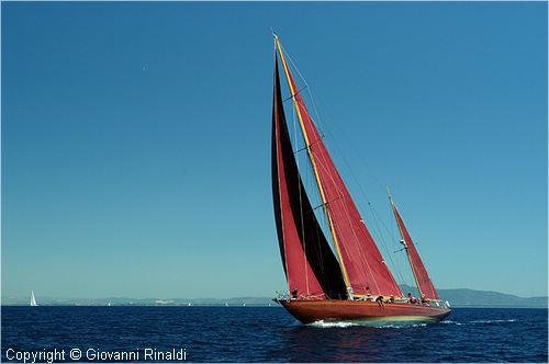 DSC_2247.jpg