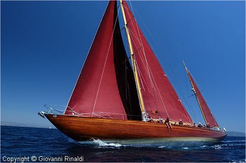 DSC_2254.jpg
