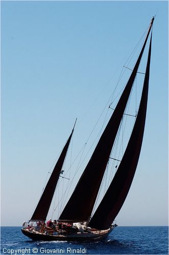 DSC_2261.jpg