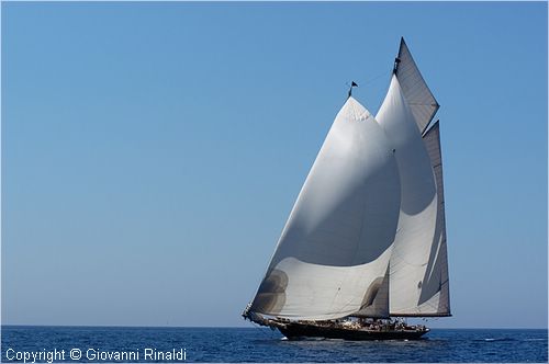 DSC_2315.jpg