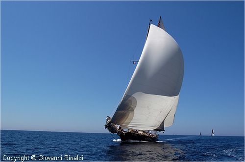 DSC_2322.jpg