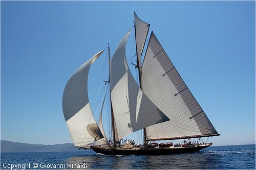 DSC_2325.jpg