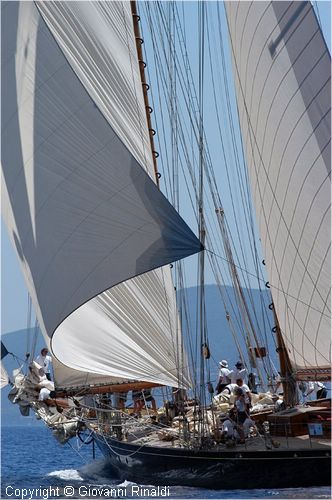 DSC_2340.jpg