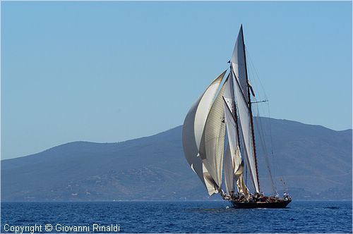 DSC_2350.jpg