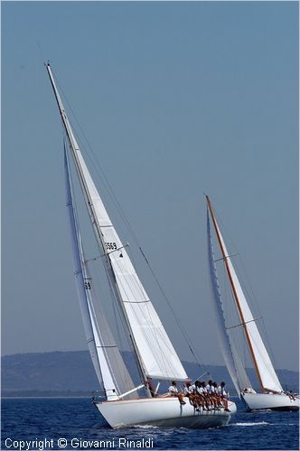 DSC_2351.jpg