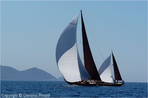 DSC_2379.jpg