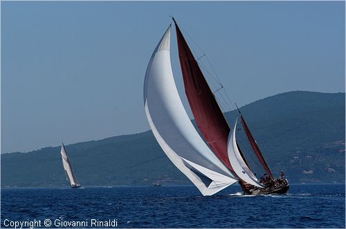 DSC_2401.jpg