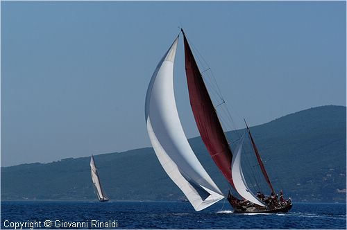 DSC_2402.jpg